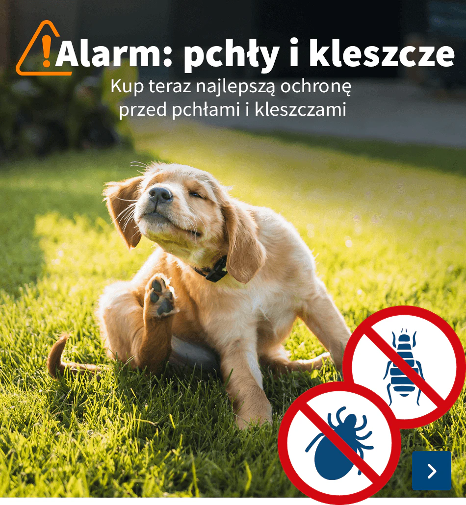 Pchły i kleszcze