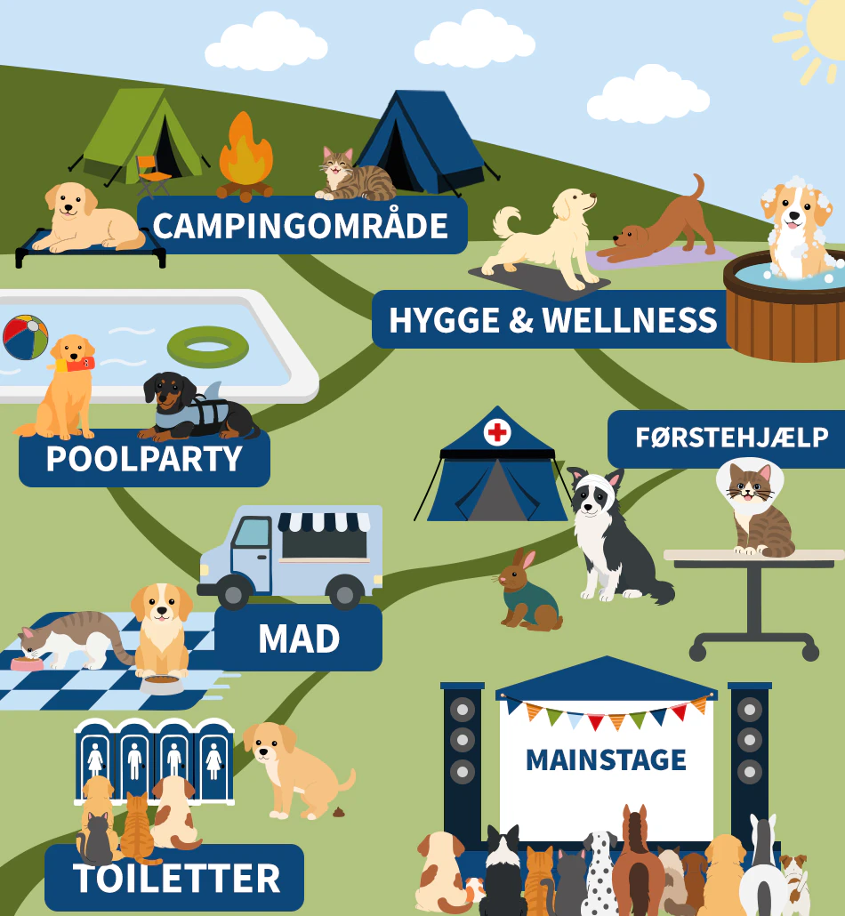 Festival