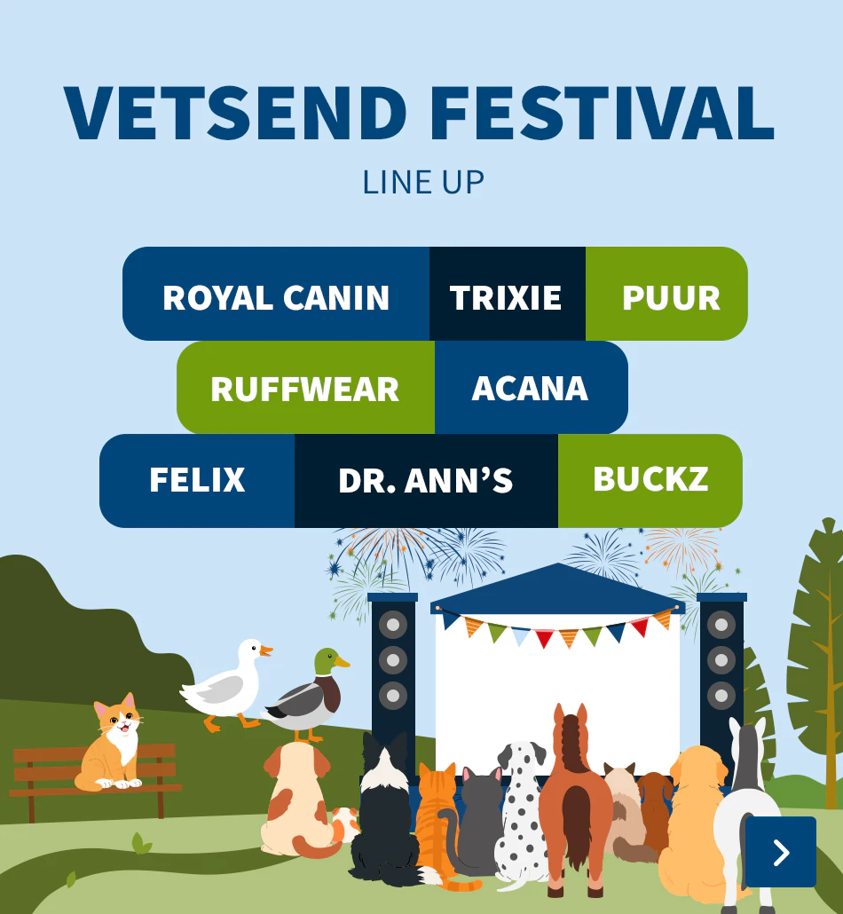 Festival