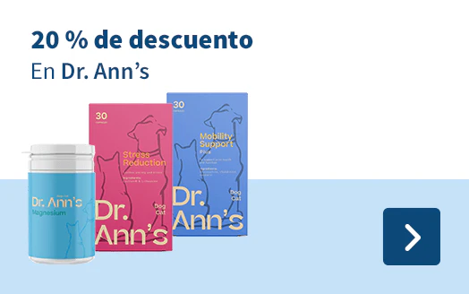 Dr. Ann's