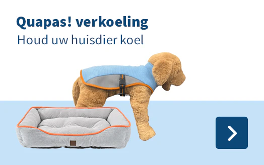 Quapas! verkoeling Houd uw huisdier koel