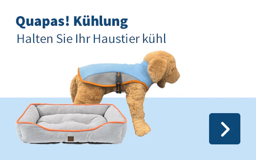 Quapas! Kühlung Halten Sie Ihr Haustier Kühl 