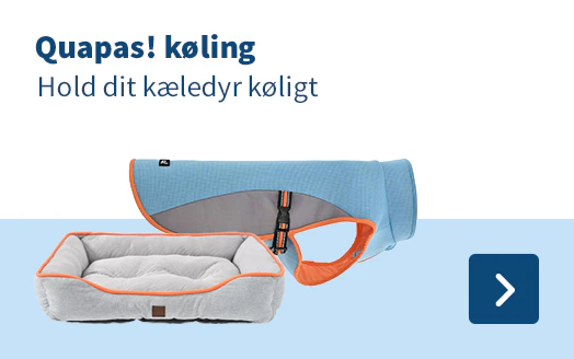 Quapas! køling Hold dit kæledyr køligt