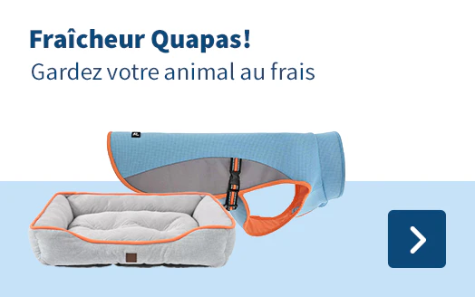 Fraîcheur Ouapas! Gardez votre animal au frais
