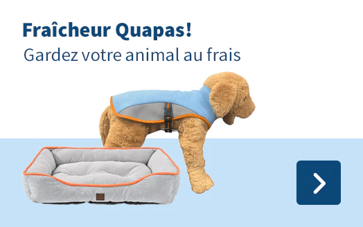 Fraîcheur Ouapas! Gardez votre animal au frais