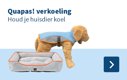Quapas! verkoeling Houd je huisdier koel