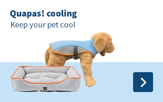 Quapas! cooling Keep your pet cool