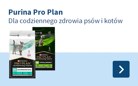 Pro Plan