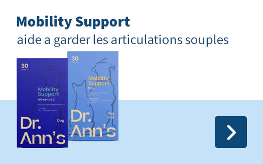 Dr. Ann's