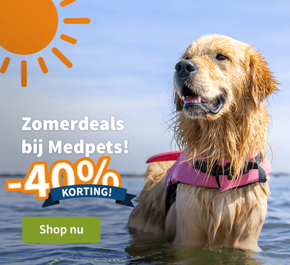 Zomersolden