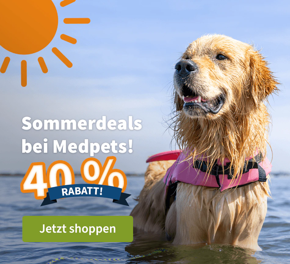 Sommerdeals
