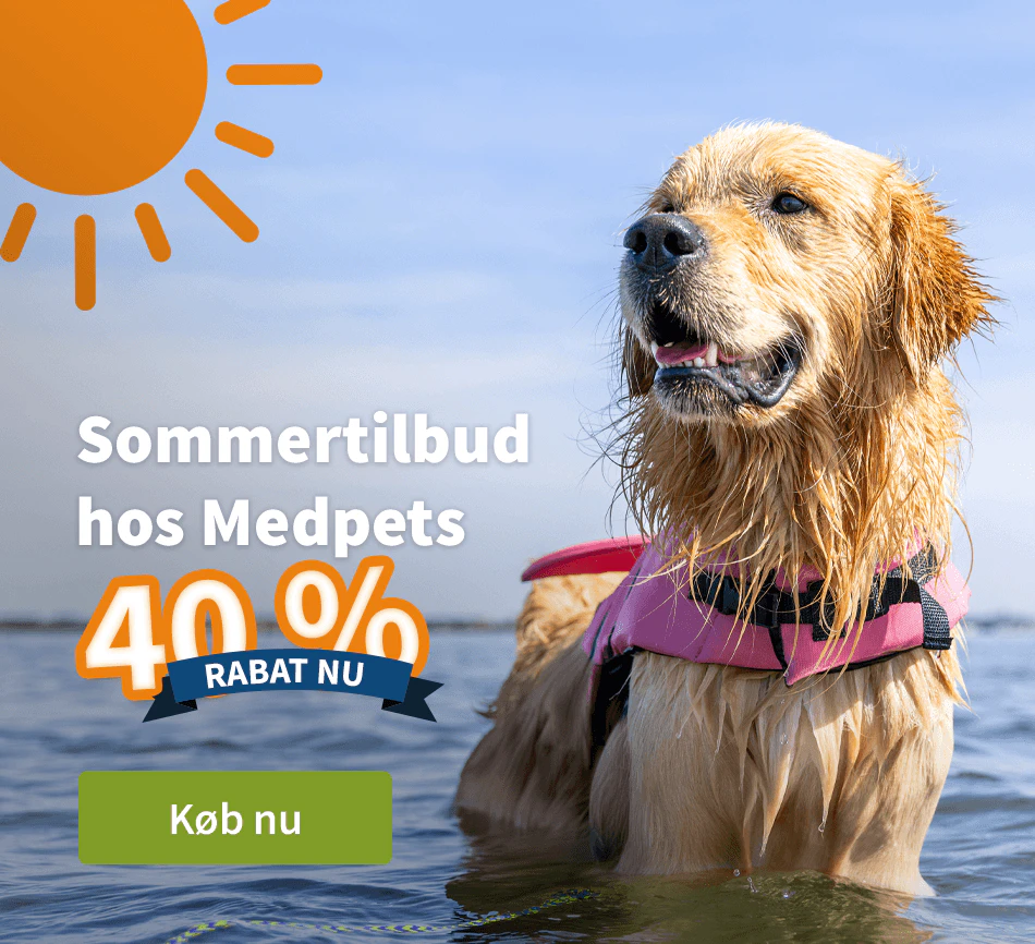 Sommertilbud