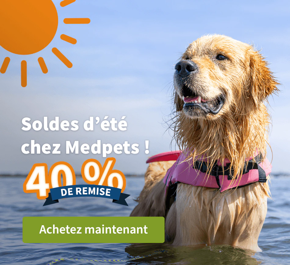 Soldes