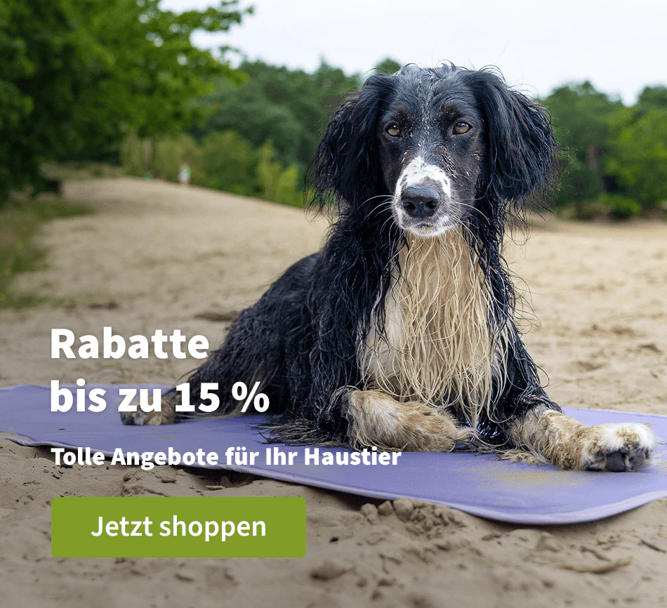 Rabatte bis zu 15 %