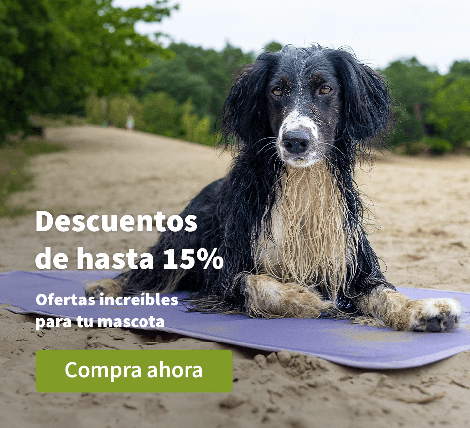 Descuentos de hasta 15%