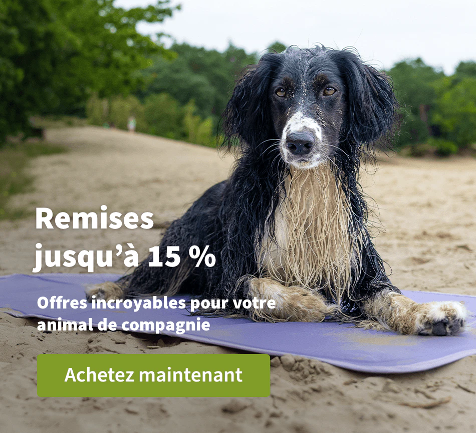 Remises jusqu'à 15 %