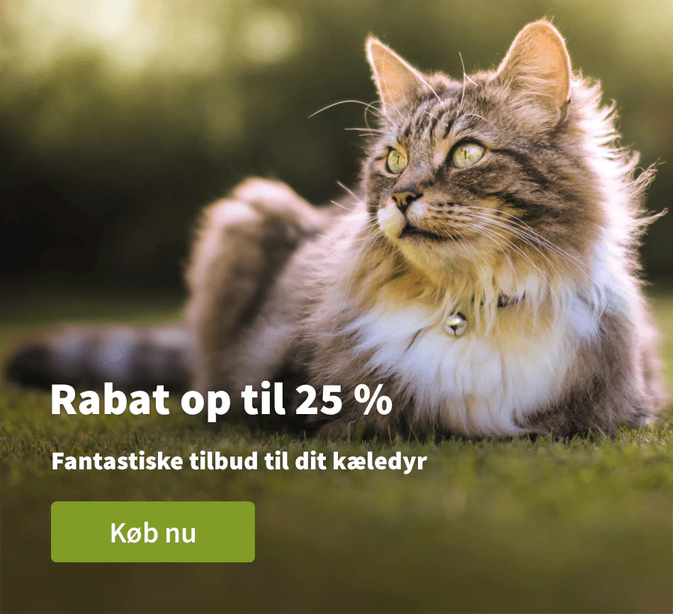 Rabat op til 25 %