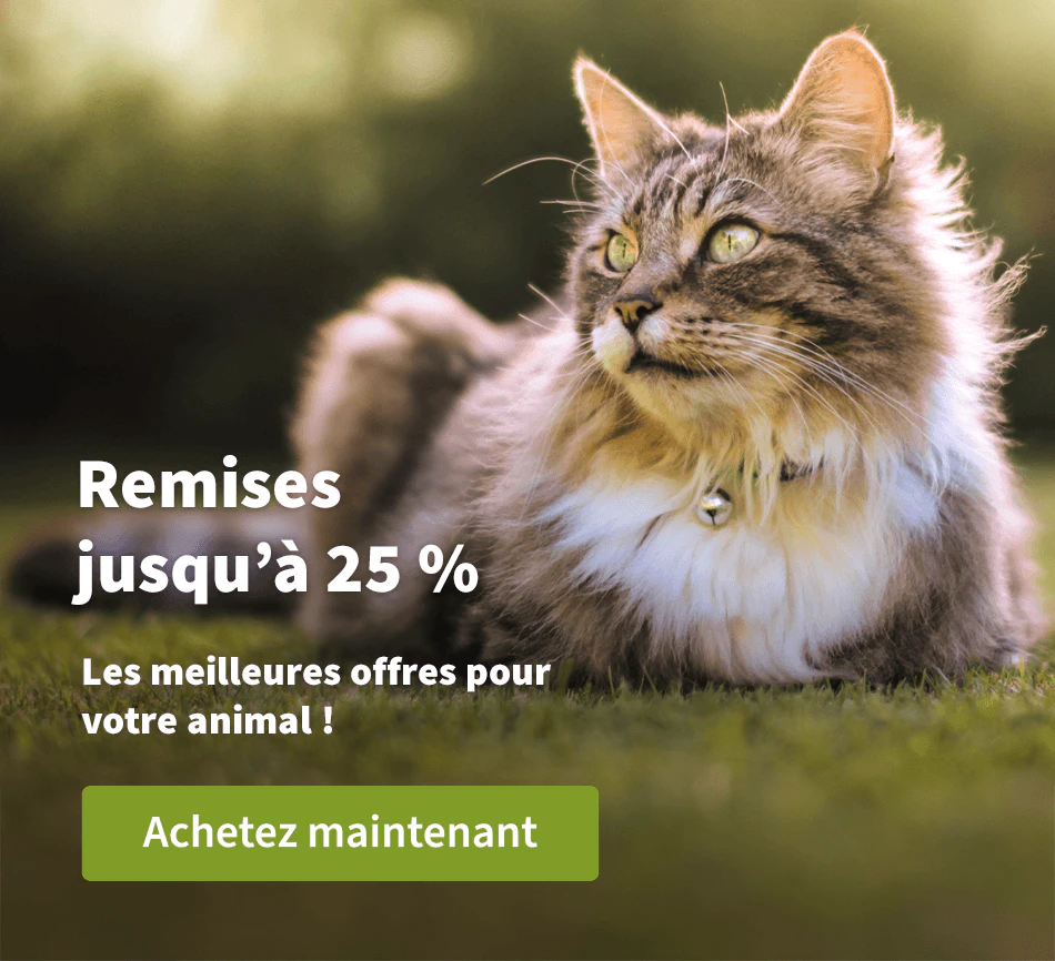 Remises jusqu'à 25 %