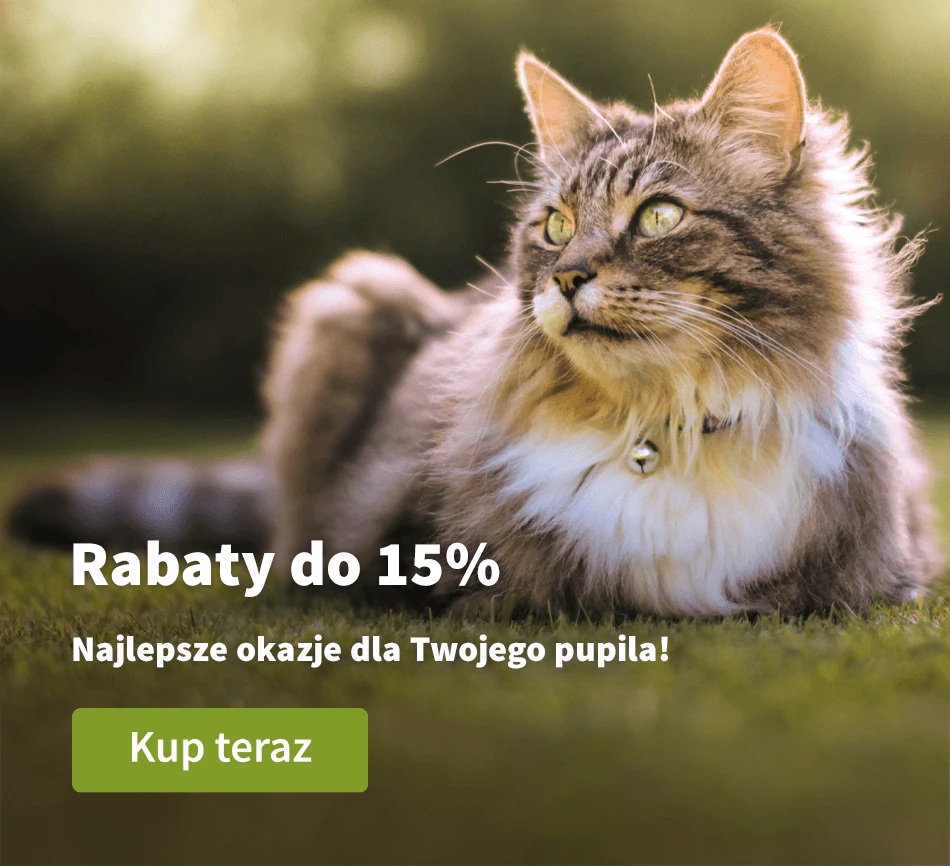 Rabaty do 15%
