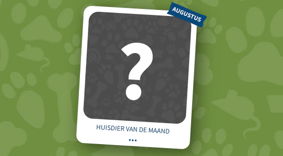 huisdier van de maand augustus