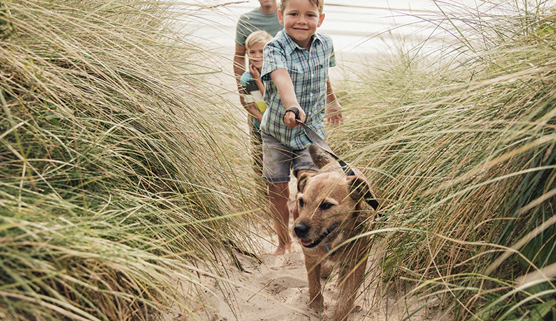 Blije hond met gezin in de duinen
