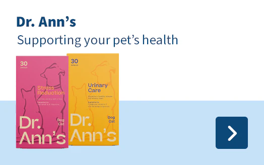 Dr. Ann's