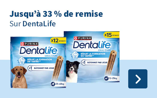 DentaLife