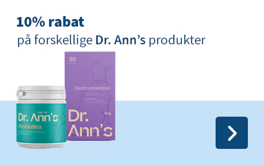 Dr. Ann's
