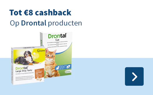 Drontal