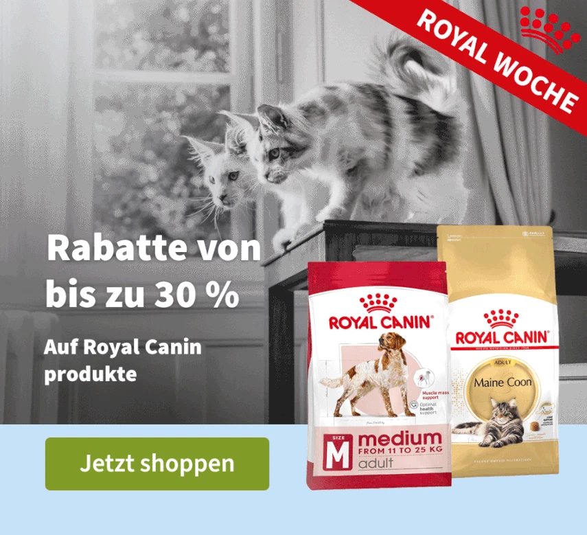 Royal Week 