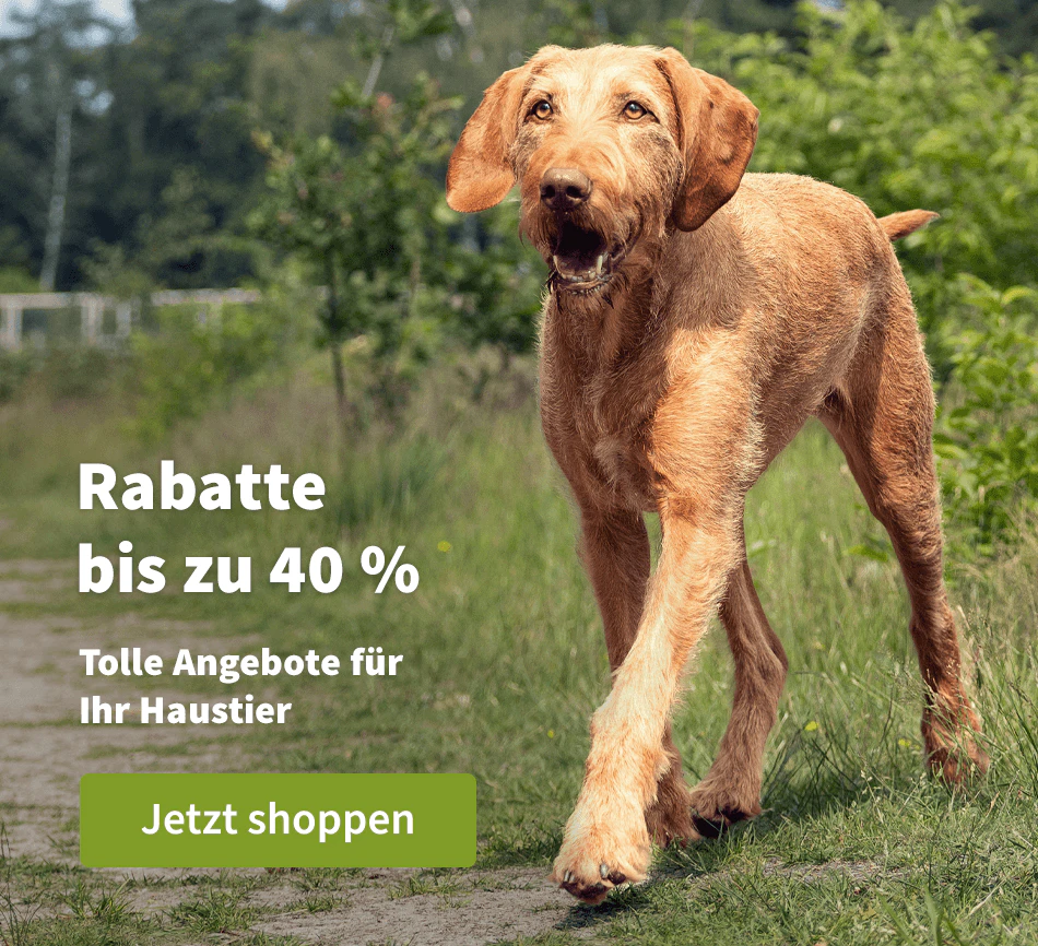 Rabatte bis zu 40 % 