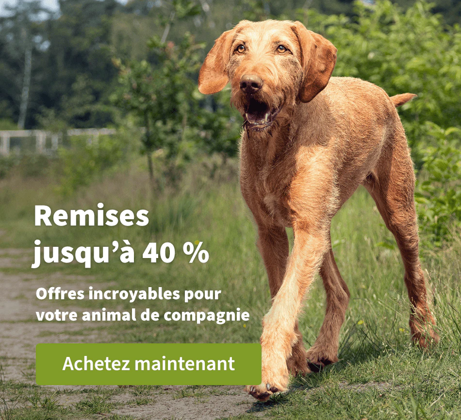 Remises jusqu'à 40 %