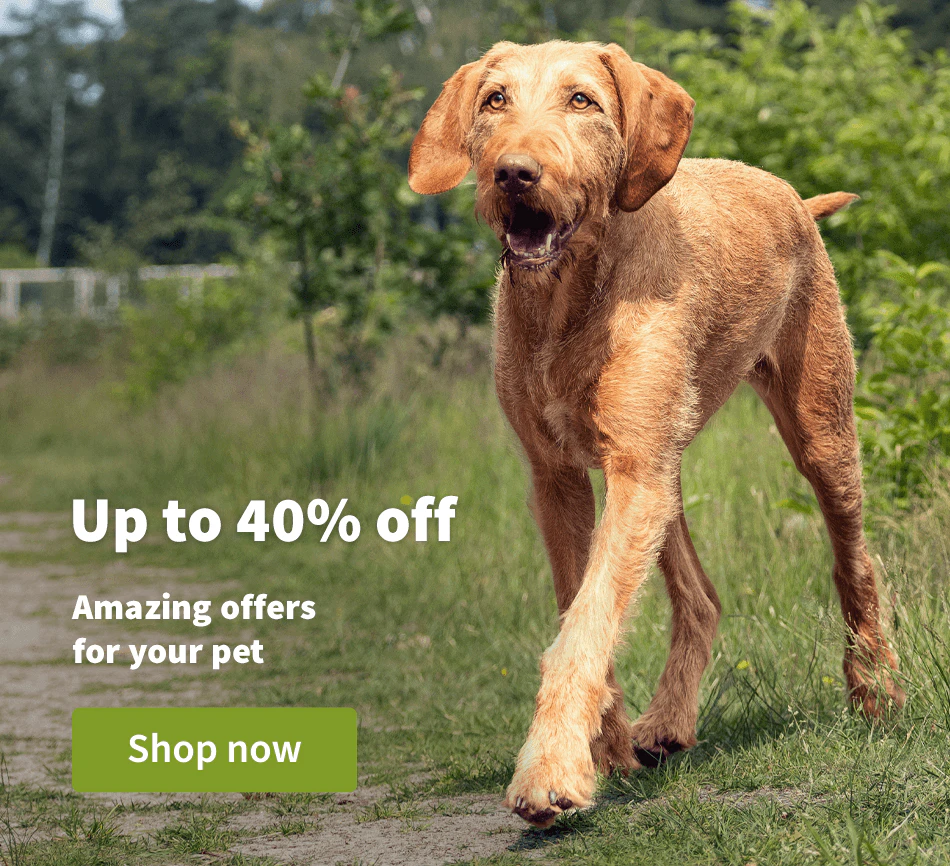 Up to 40% off