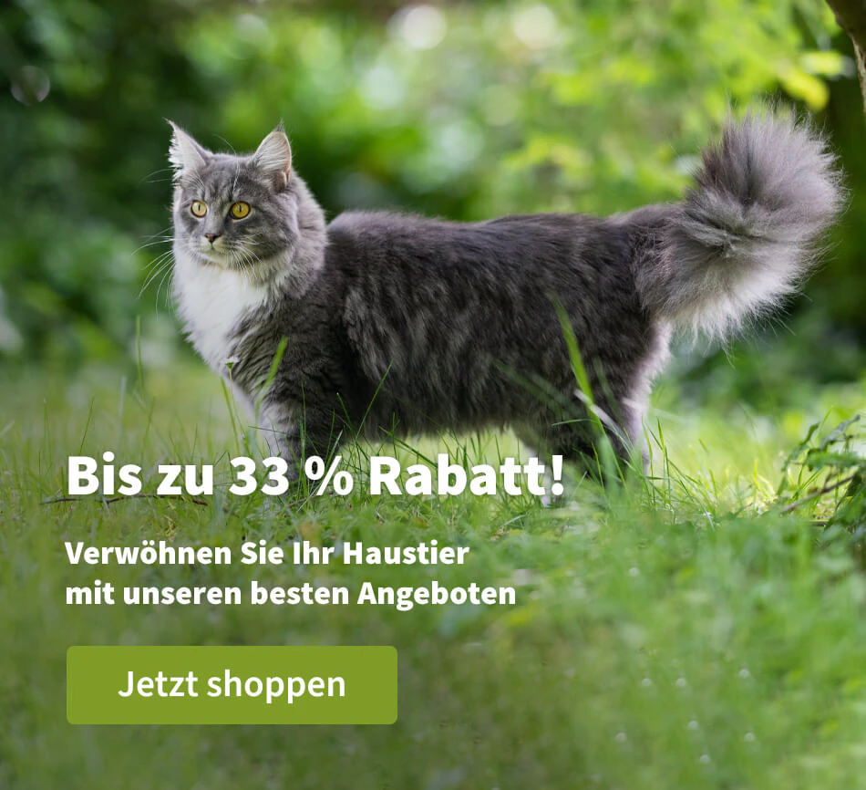 Bis zu 33 % Rabatt!