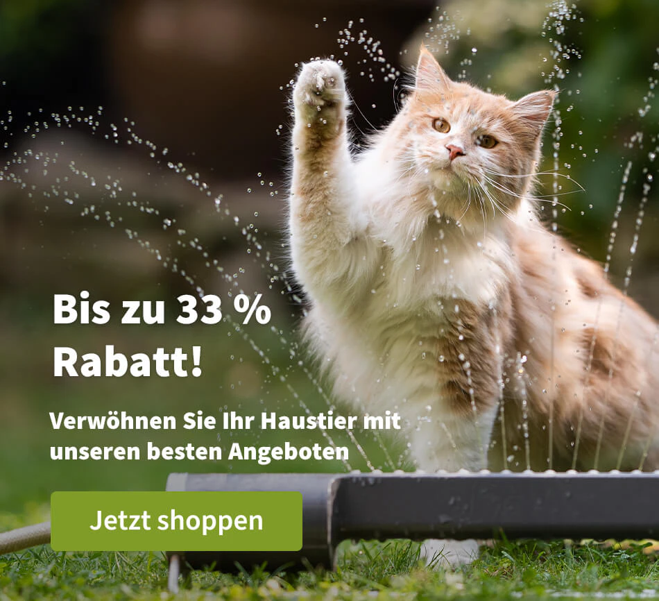 Bis zu 33 % Rabatt!