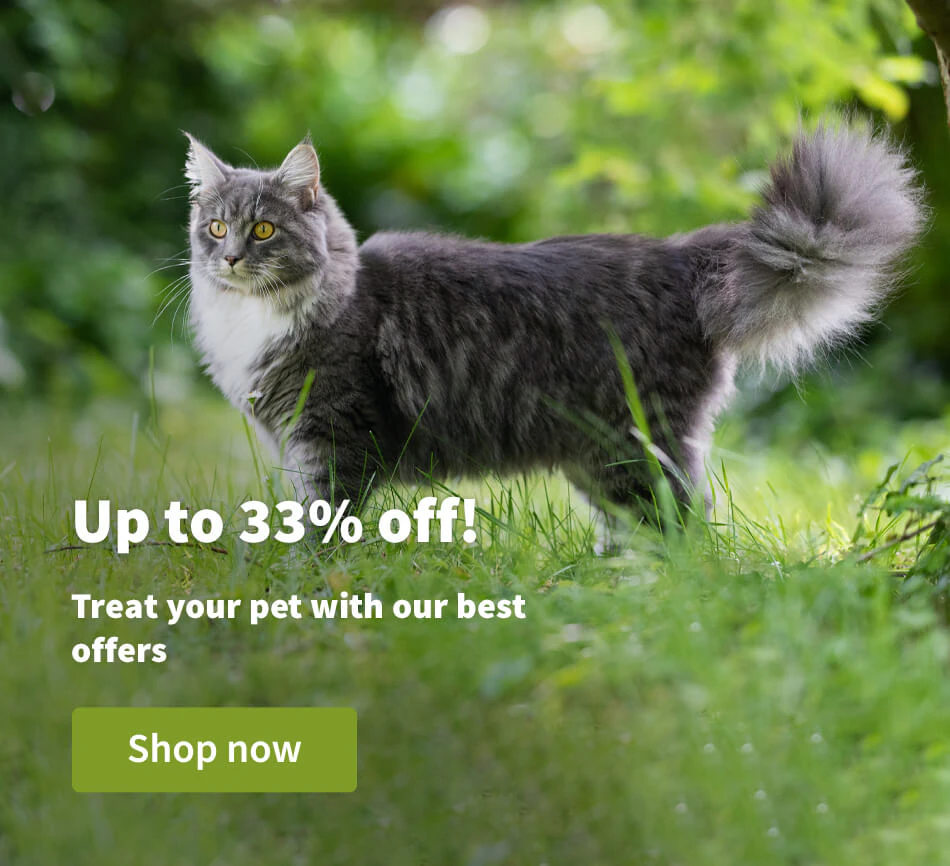 Up to 33% off!