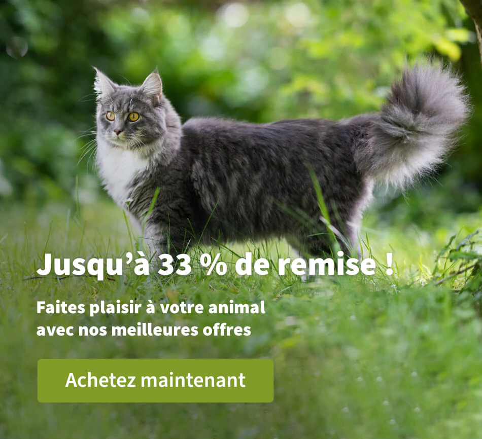 Jusqu'à 33 % de remise !