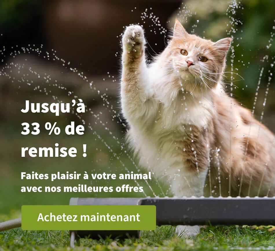 Jusqu'à 33 % de remise !