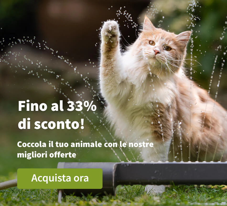 Fino al 33% di sconto!