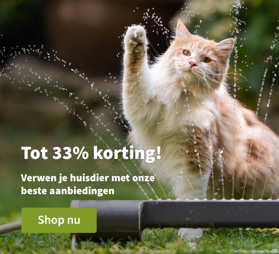 Tot 33% korting!