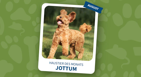 haustier des monats august