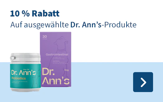 Dr. Ann's