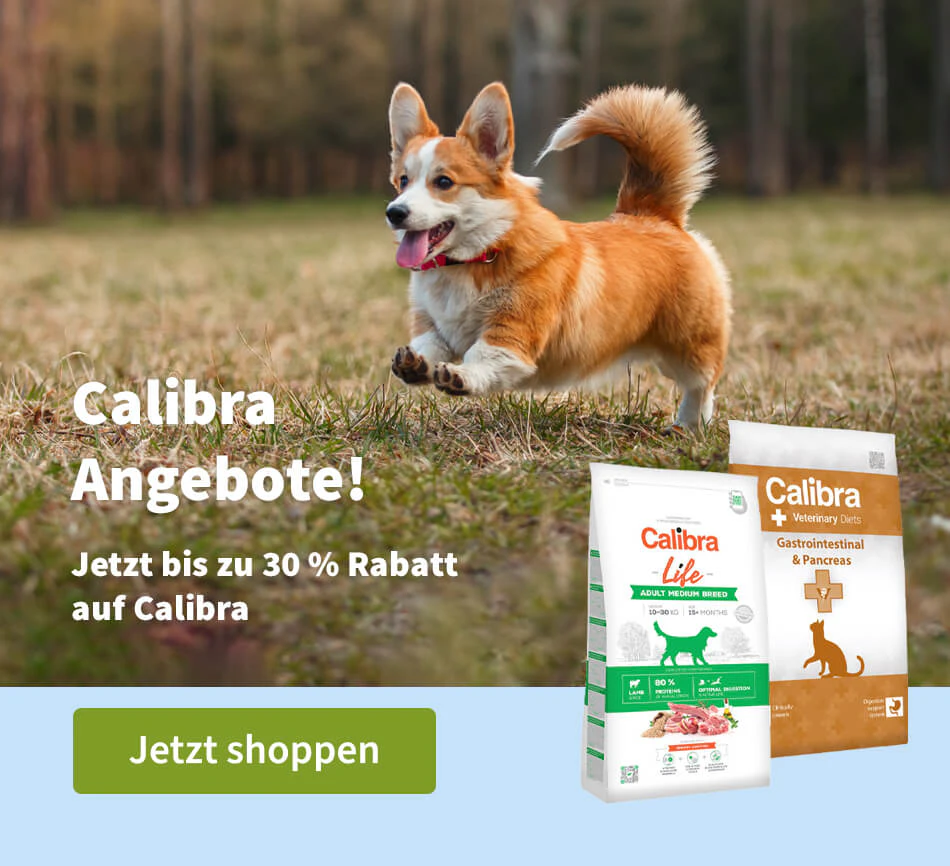 Calibra Angebote