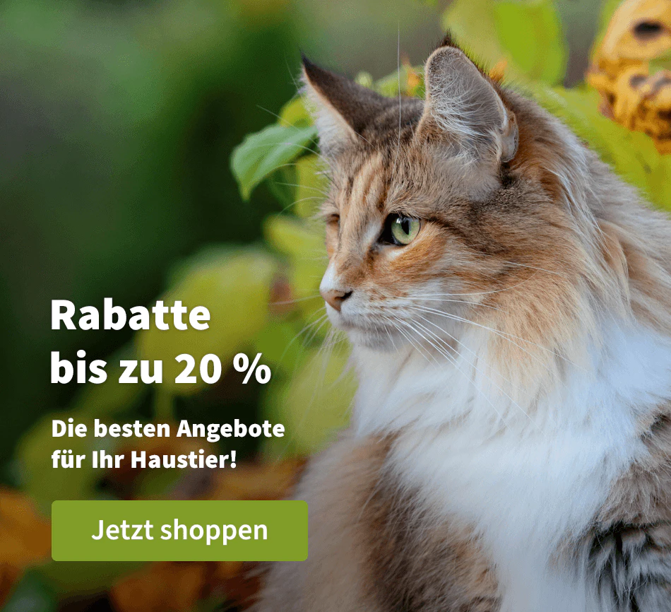 Rabatte bis zu 20 %