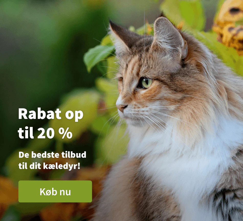 Rabat op til 20 %