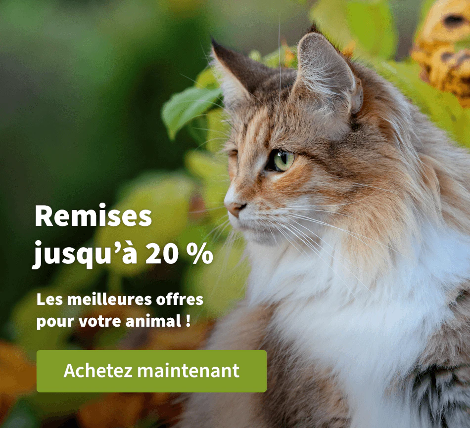 Remises jusqu'à 20 %