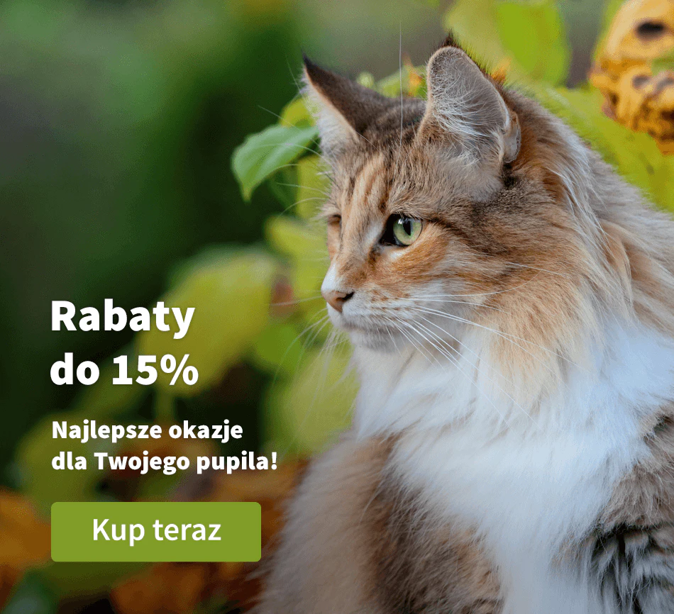 Rabaty do 15%