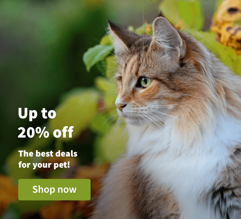 Up to 20% off