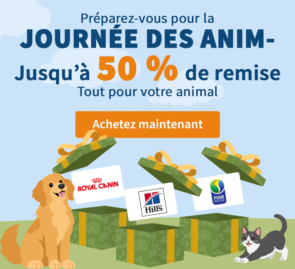 Journée des Animaux