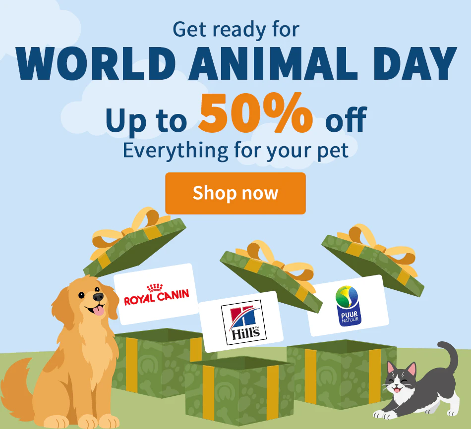 World Animal Day